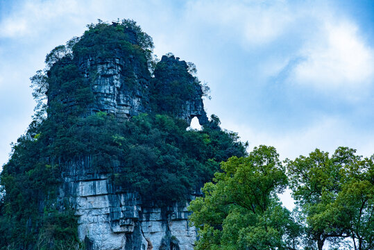 乡道风景