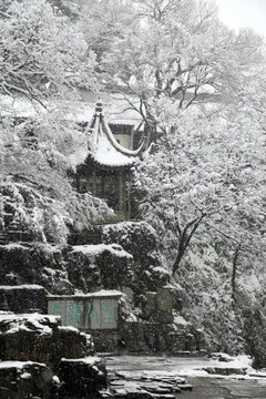 虎丘雪景