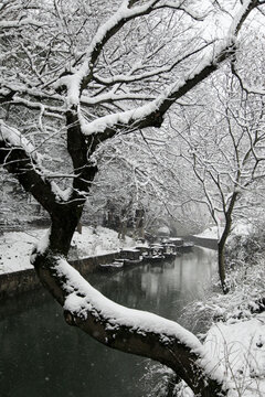 园林雪景