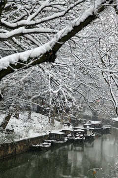 园林雪景