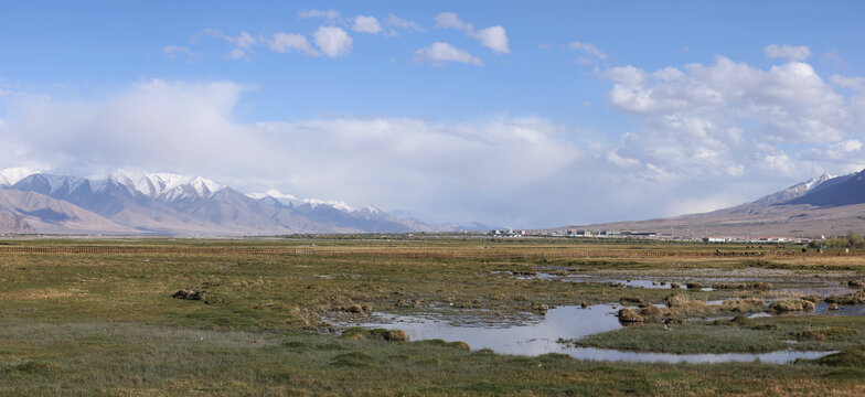 新疆石头城阿拉尔金草滩
