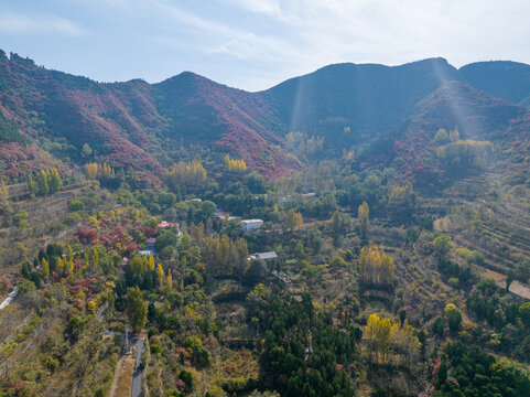 济南彩石劈山红叶