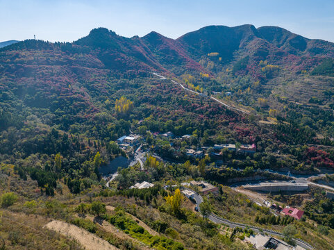 济南彩石劈山红叶