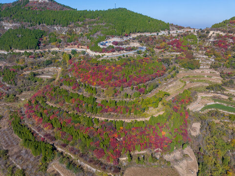 济南彩石劈山红叶