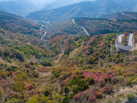 济南彩石劈山红叶