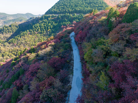 济南彩石劈山红叶