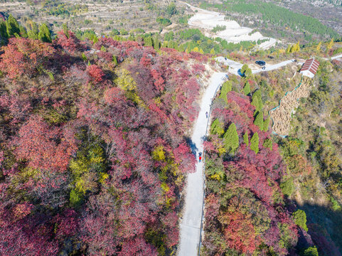 济南彩石劈山红叶