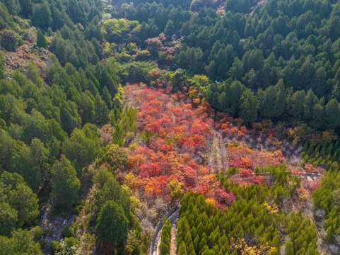 济南扁石山山体公园秋色