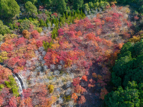 济南扁石山山体公园秋色