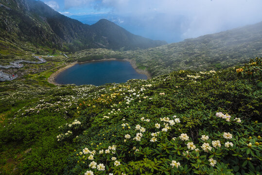 苍山