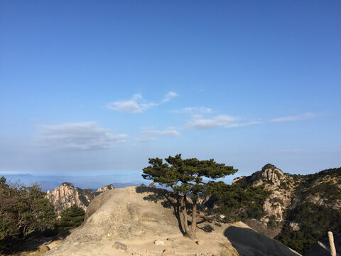 黄山迎客松风光