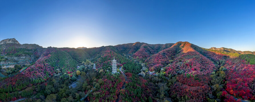 宽幅满山红叶全景大图