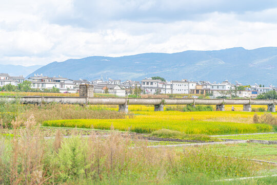 大理村庄田野