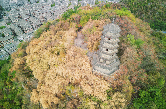 秋天的柳州蟠龙山蟠龙塔航拍