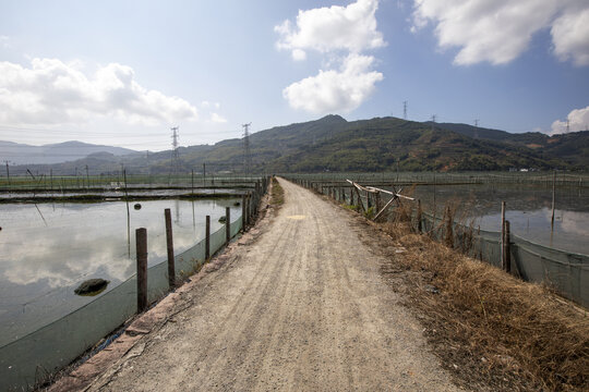 田间养殖跳跳鱼