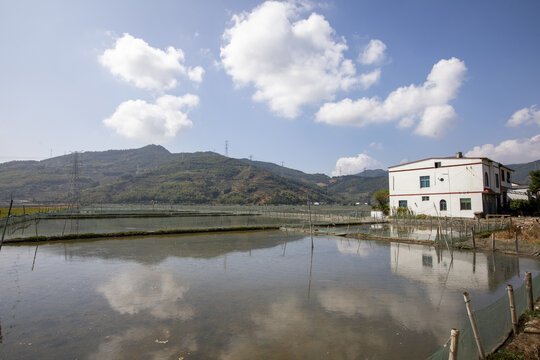 田间养殖跳跳鱼