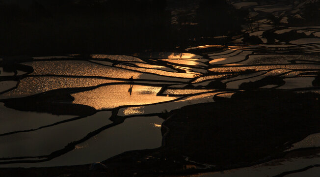 夕阳水田