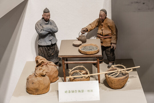 古代茶叶生产加工过程