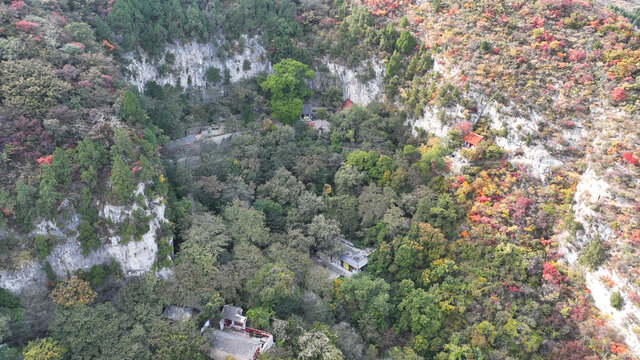 淄博博山白石洞红叶