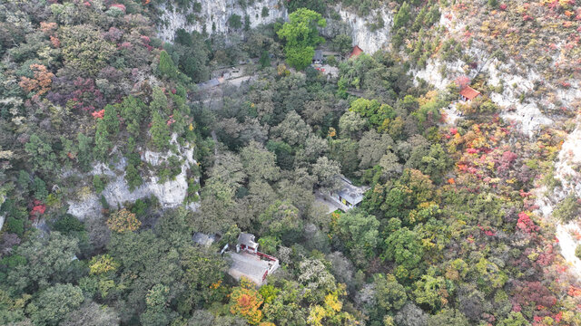 淄博博山白石洞红叶