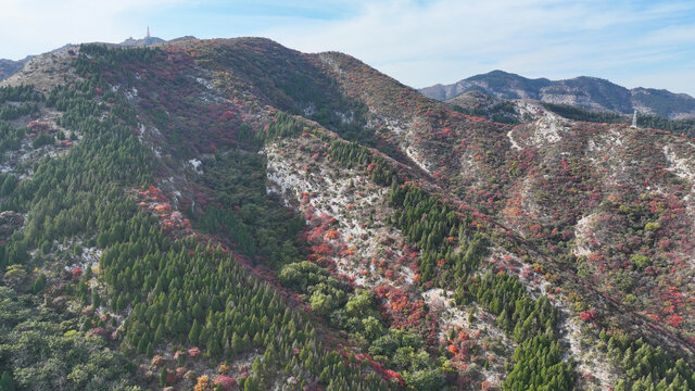 淄博博山白石洞红叶