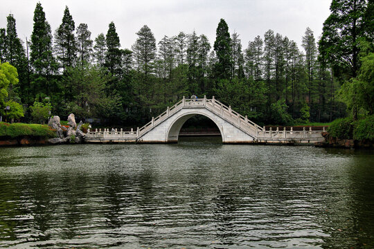 南京白鹭洲公园南方园林