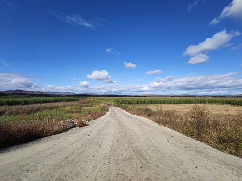 蓝天白云土路庄稼地道路