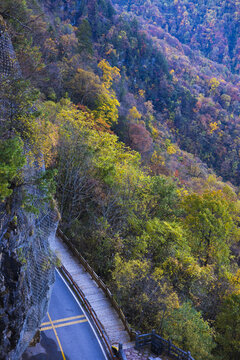 秋天的山中公路