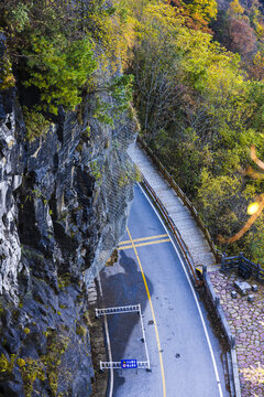 金秋山间小路