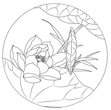 荷塘荷花國潮矢量手繪白描線稿