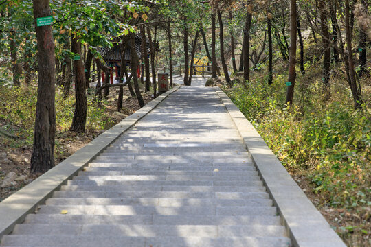 沂蒙山旅游区龟蒙景区