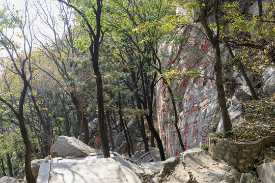 蒙山龟蒙景区百寿摩崖