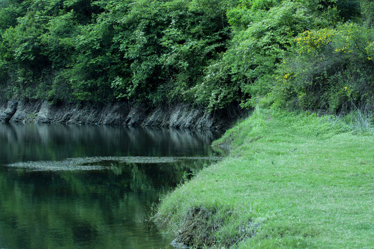 湿地景