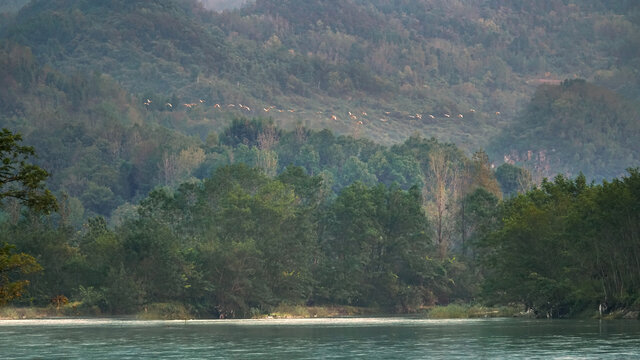 秦岭山水飞鸟风光