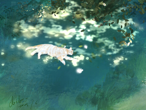 夏日貓咪