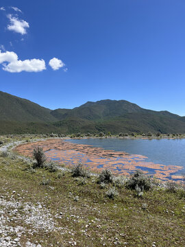 高原湖泊