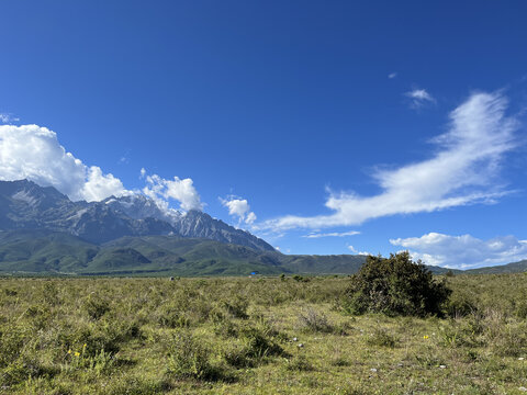 高山草甸