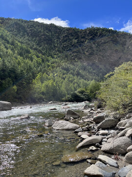 高山中的小溪流