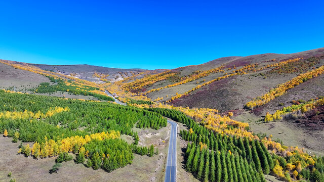 秋天的五彩山路