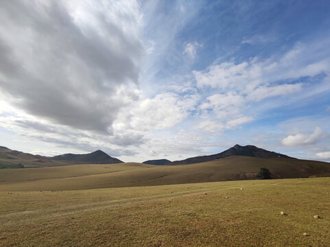 草原山地草场地