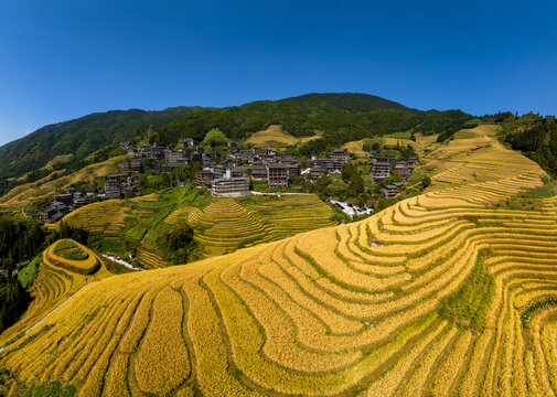 龙脊梯田