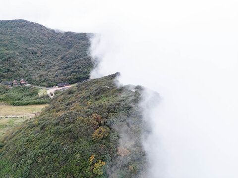 金佛山山顶云海