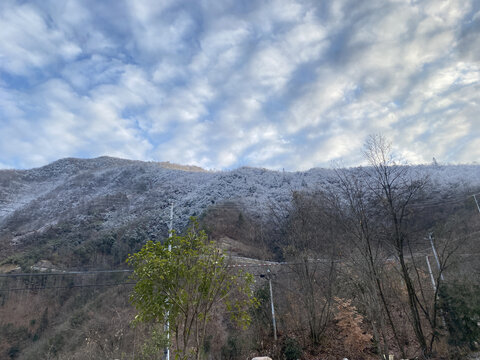 雪景