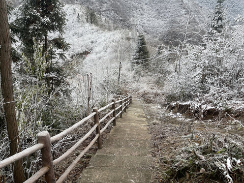 路上的雪景