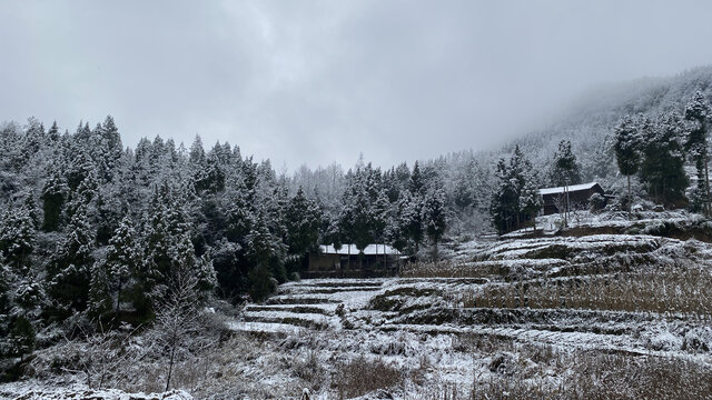 农村雪景