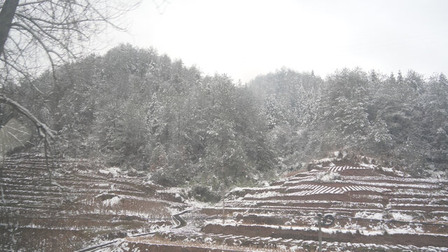 乡下的雪景