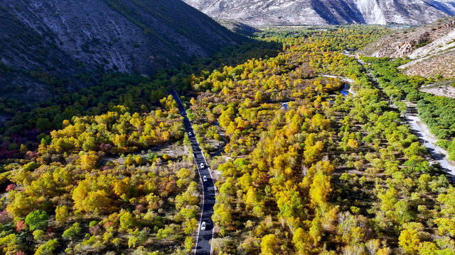 秋天五彩的山谷道路