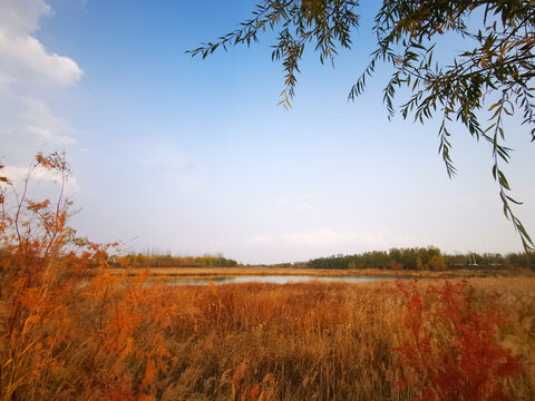 湖边秋景