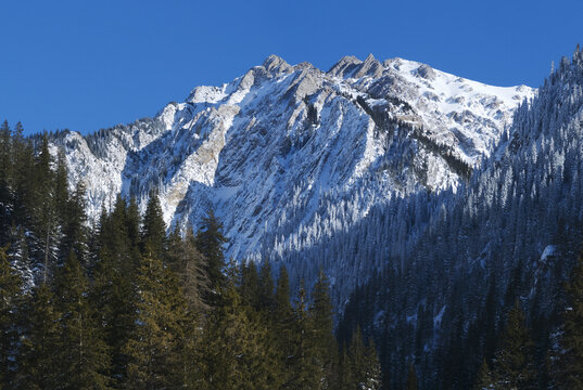 雪山