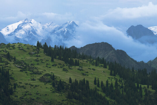 山景